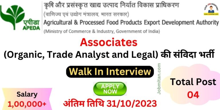 APEDA Associates Contractual Recruitment 2023